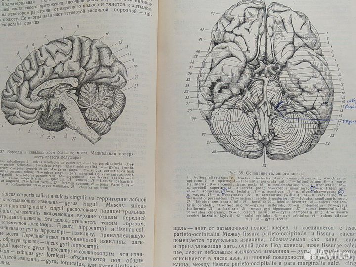 Нервные болезни. Х.Т. Ходос