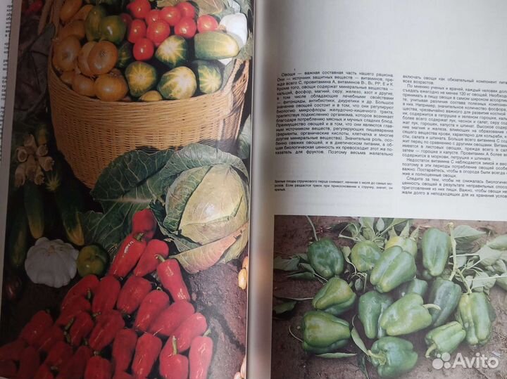 Книга Энциклопедия садовода