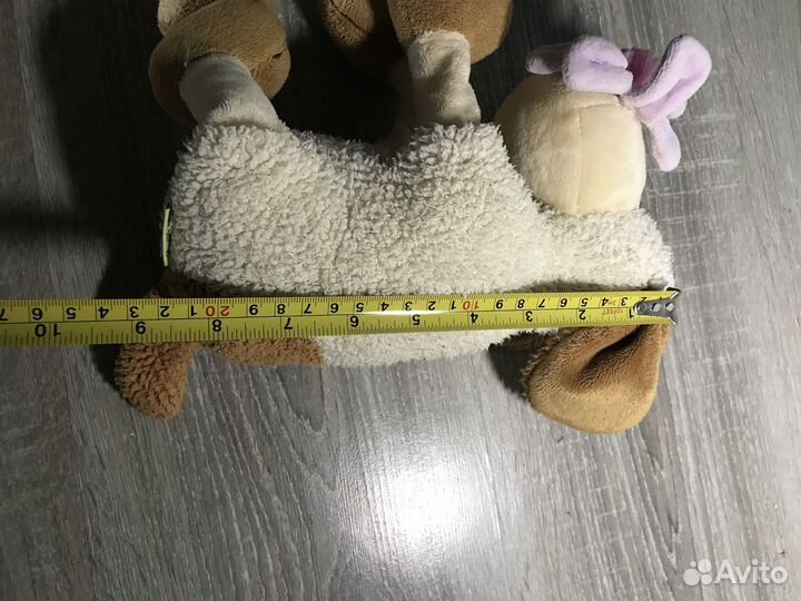 Милая кучеряшка собачка Клава