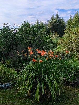 Дача 24 м² на участке 8 сот.