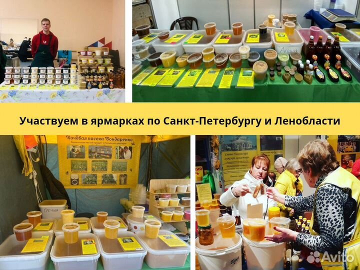 Липовый мед 2024