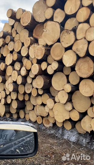 Лес кругляк пиловочник