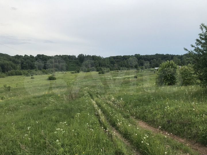 Участок 3,2 га (СНТ, ДНП)