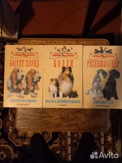 Кошечки и собачки