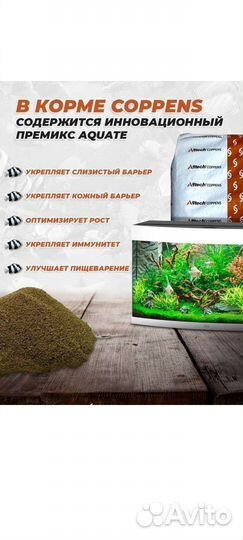 Корм для рыбок