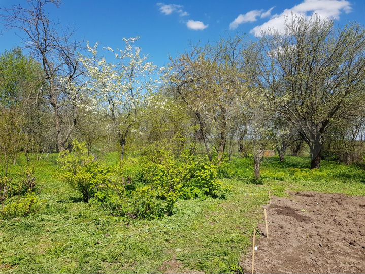 Дом 77 м² на участке 23 сот.