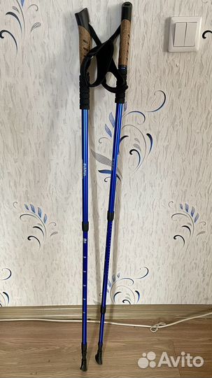 Палки для скандинавской ходьбы телескопические