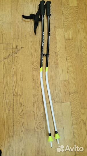 Горнолыжные палки 105 gs