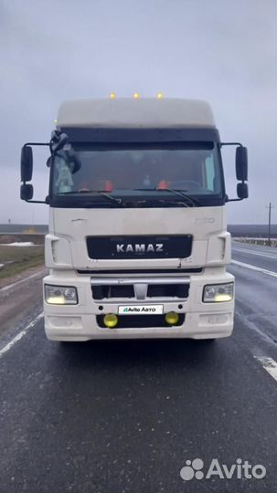 КАМАЗ 5490 NEO, 2018