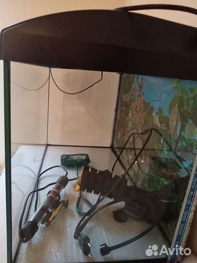 Аквариум 60 литров