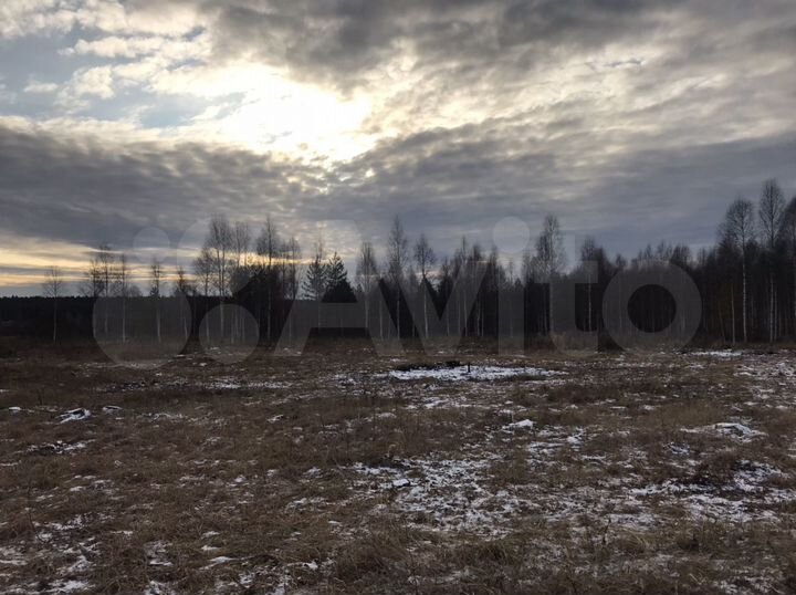 Участок 4 га (СНТ, ДНП)