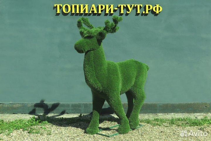 Топиари Топиарные фигуры Садовые фигуры