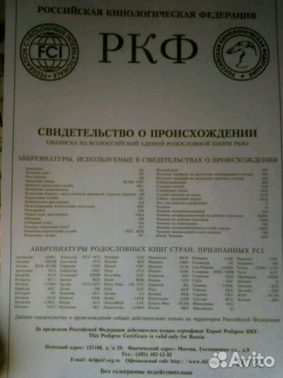 Самоед вязка