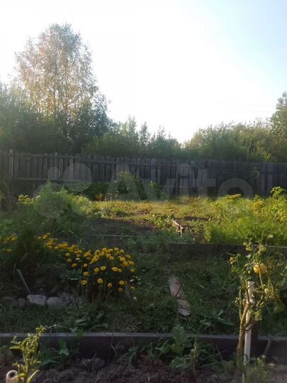 Дом 26,5 м² на участке 15 сот.