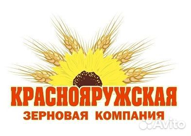 Водитель автомобиля