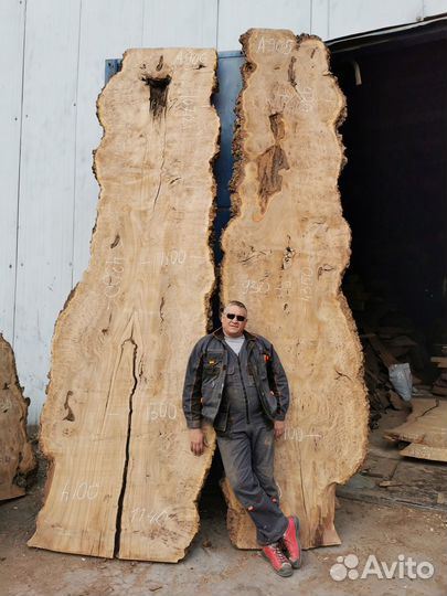 Слэб из карагача