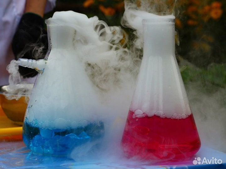 Шоу химиков, Научное шоу