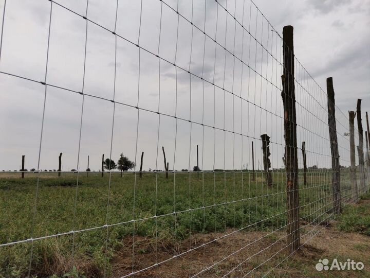 Сетка шарнирная