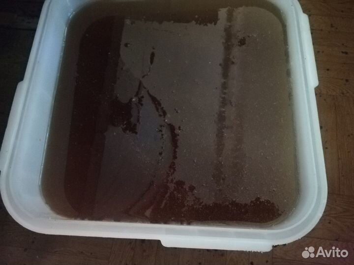 Мёд разнотравие 2023