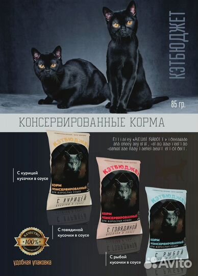 Влажный корм для кошек и Наполнитель для туалета