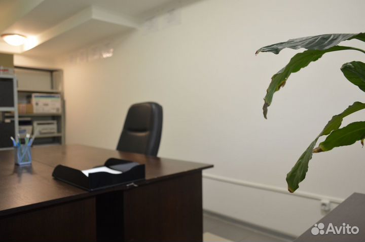 Юридический адрес, юр адрес для ооо. Аренда