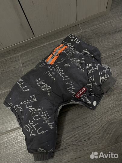 Одежда для собак