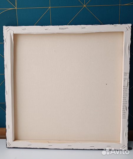 Картина по номерам Суккуленты