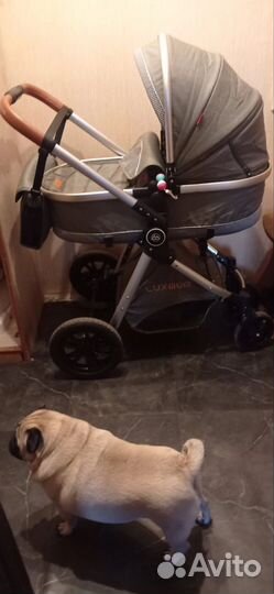 Коляска 2 в 1 б/у