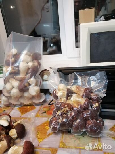 Белые грибы