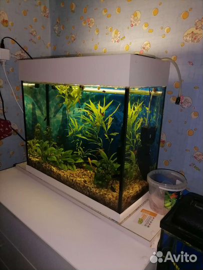 Аквариум
