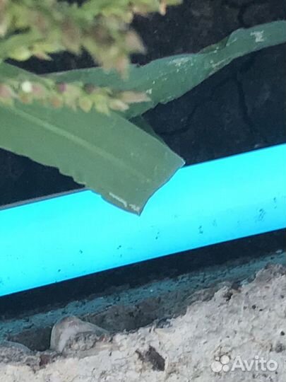 Гибкий неон 220v RGB