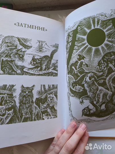 Коты-воители 