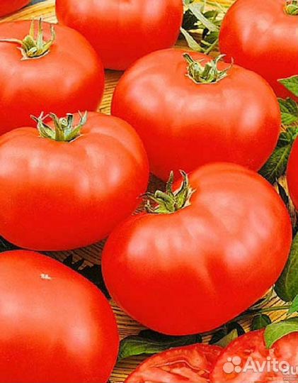 Томат Славянский Шедевр (уд) 20 шт цв.п