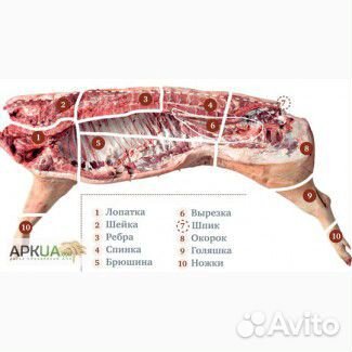 Забой скота