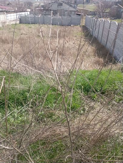 Участок 4,1 сот. (ИЖС)