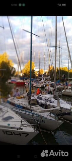 Яхта четвертоник Катран