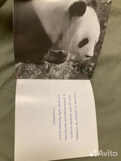 Книга с фото