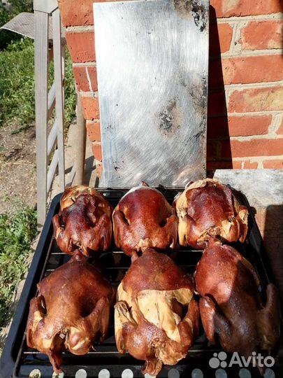 Пелингас горячего копчения