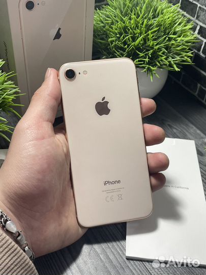 iPhone 8, 64 ГБ