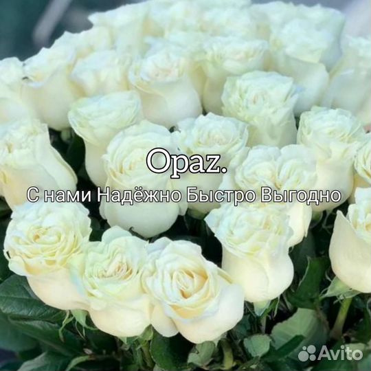 Цветы букет 25 роз