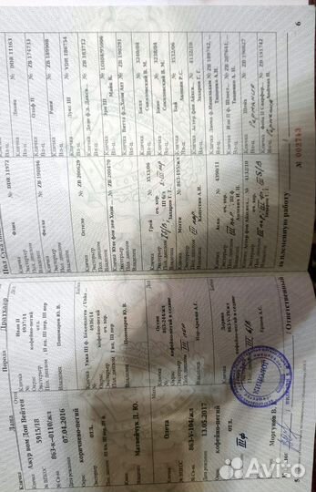 Щенки дратхаара