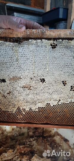 Мед натуральный