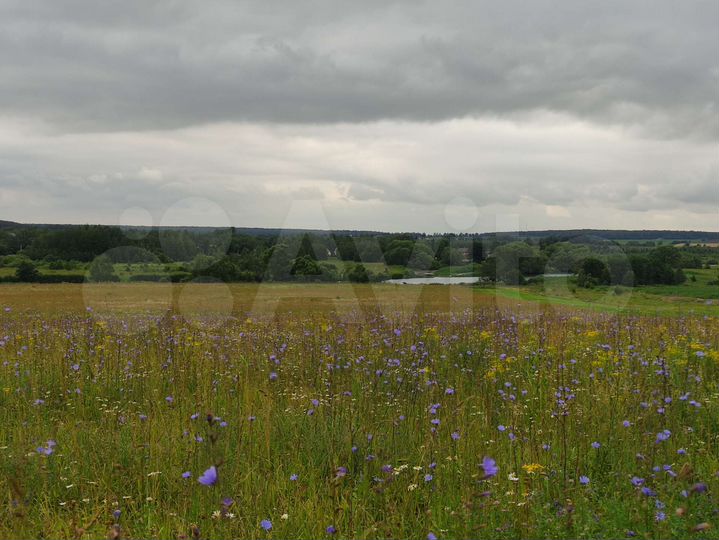 Участок 15 сот. (ИЖС)