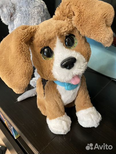 Fur real friends Котик и Собака