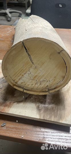 Бивень мамонта