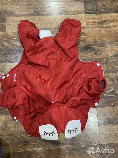 Одежда для маленьких пород собак