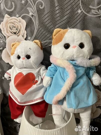 Котики Лили