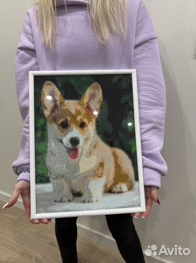 Картина алмазная вышивка готовая работа корги