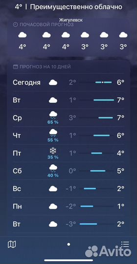 Хойя Митрата сильвер