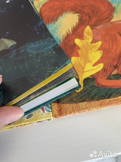 Красивая книга о море Никола Дэвис вся серия